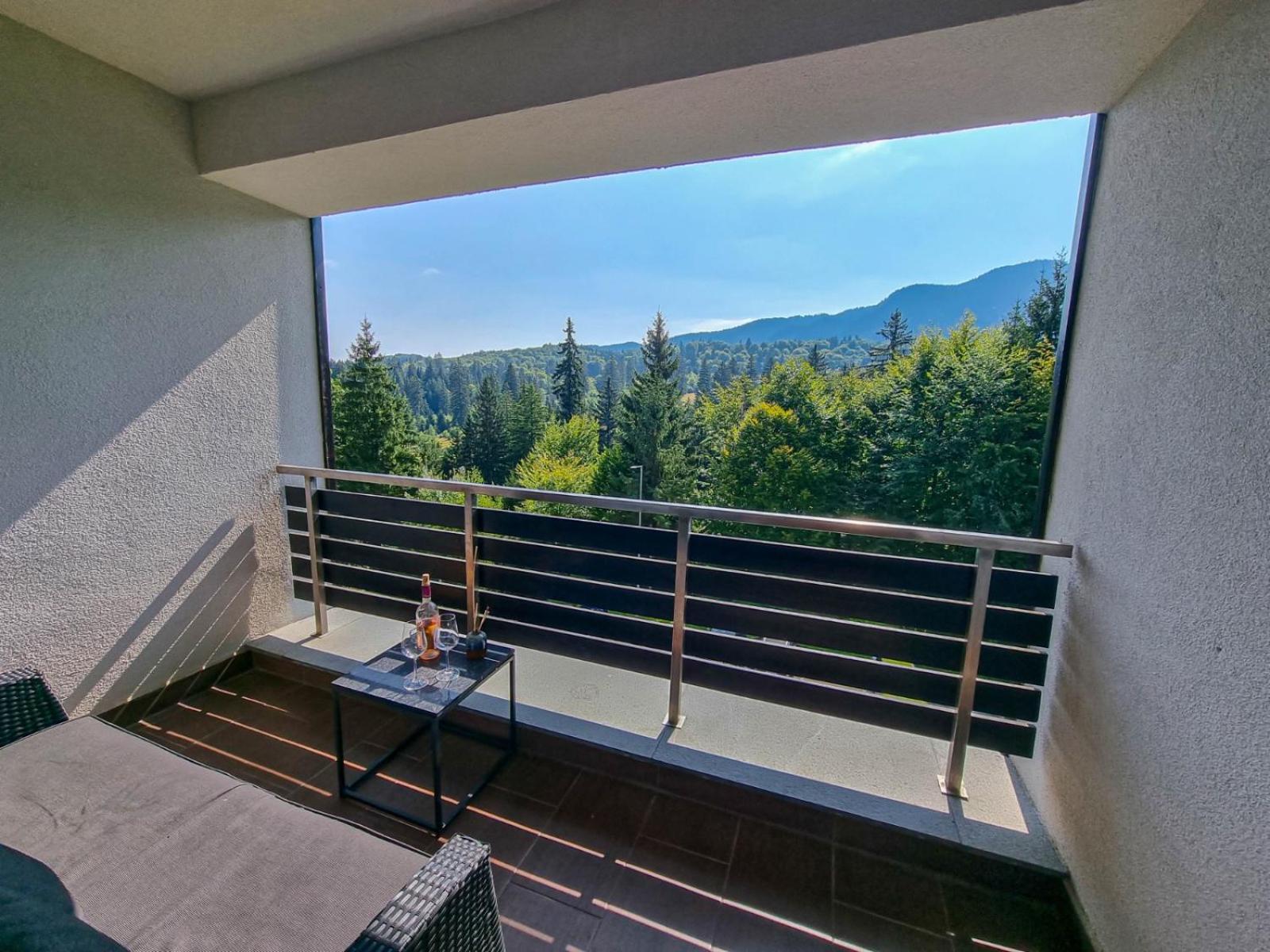 Silver Mountain G1 21 R Poiana Brasov Bagian luar foto